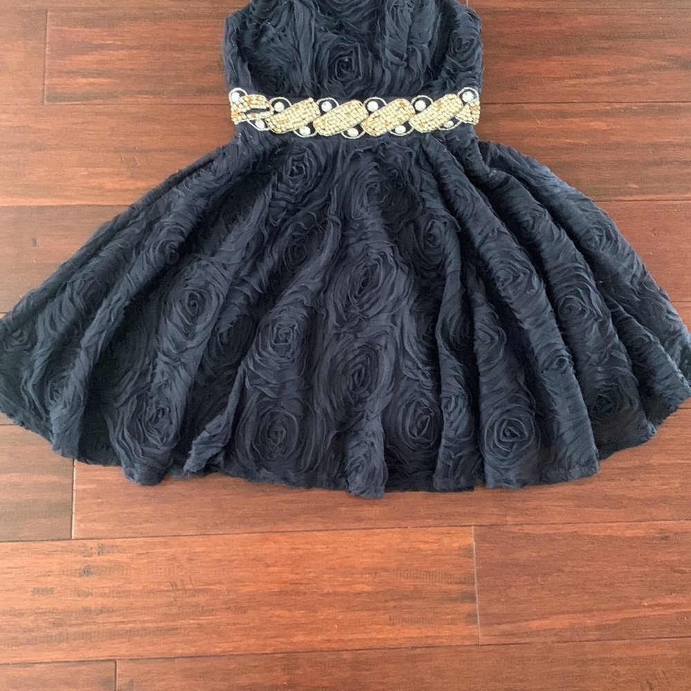 Homecoming/Prom dress - Picture 3 of 4